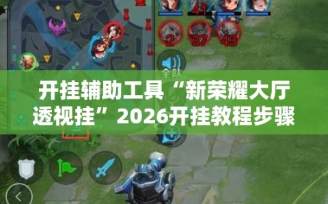 开挂辅助工具“新荣耀大厅透视挂”2026开挂教程步骤