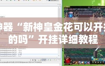 辅助神器“新神皇金花可以开挂是真的吗”开挂详细教程