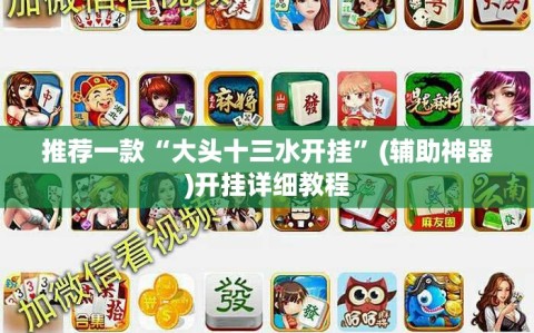 推荐一款“大头十三水开挂”(辅助神器)开挂详细教程
