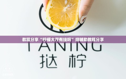 教程分享“柠檬大厅有挂吗”细辅助教程分享