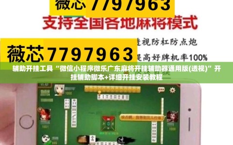 辅助开挂工具“微信小程序微乐广东麻将开挂辅助器通用版(透视)”开挂辅助脚本+详细开挂安装教程