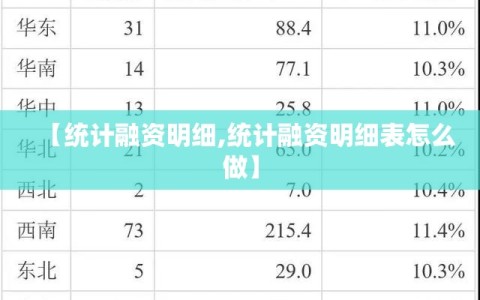 【统计融资明细,统计融资明细表怎么做】