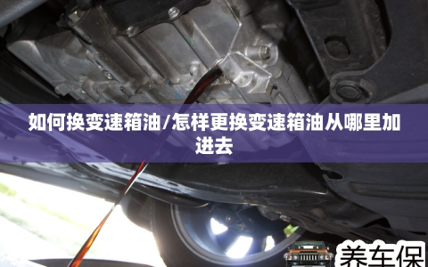 如何换变速箱油/怎样更换变速箱油从哪里加进去