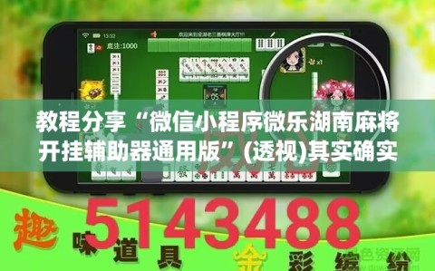 教程分享“微信小程序微乐湖南麻将开挂辅助器通用版”(透视)其实确实有挂