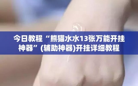 今日教程“熊猫水水13张万能开挂神器”(辅助神器)开挂详细教程