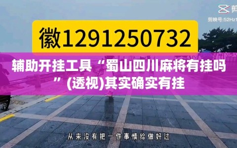 辅助开挂工具“蜀山四川麻将有挂吗”(透视)其实确实有挂