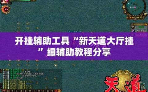 开挂辅助工具“新天道大厅挂”细辅助教程分享