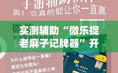 实测辅助“微乐捉老麻子记牌器”开挂(透视)辅助教程