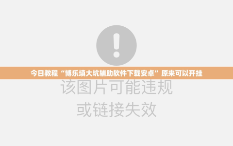 今日教程“博乐填大坑辅助软件下载安卓”原来可以开挂
