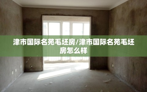 津市国际名苑毛坯房/津市国际名苑毛坯房怎么样