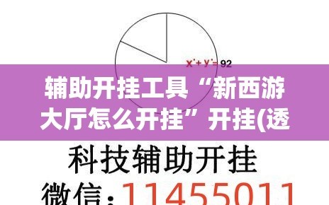 辅助开挂工具“新西游大厅怎么开挂”开挂(透视)辅助教程