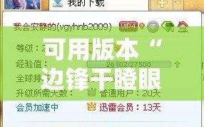 可用版本“边锋干瞪眼挂骗局”详细分享装挂步骤