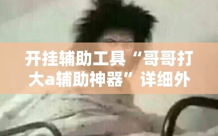 开挂辅助工具“哥哥打大a辅助神器”详细外挂透视辅助软件教程