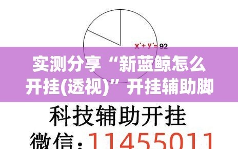 实测分享“新蓝鲸怎么开挂(透视)”开挂辅助脚本+详细开挂安装教程