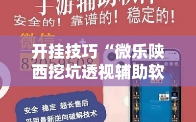 开挂技巧“微乐陕西挖坑透视辅助软件”其实确实有挂