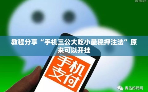 教程分享“手机三公大吃小最稳押注法”原来可以开挂