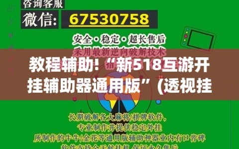 教程辅助!“新518互游开挂辅助器通用版”(透视挂)辅助下载教程