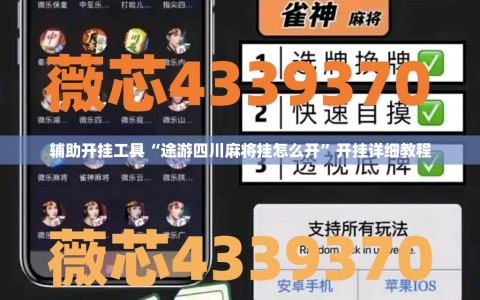 辅助开挂工具“途游四川麻将挂怎么开”开挂详细教程