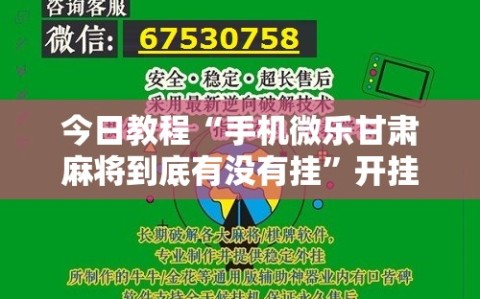 今日教程“手机微乐甘肃麻将到底有没有挂”开挂详细教程