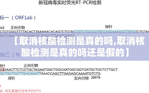 【取消核酸检测是真的吗,取消核酸检测是真的吗还是假的】