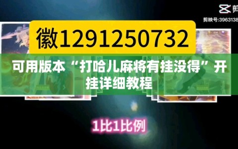 可用版本“打哈儿麻将有挂没得”开挂详细教程