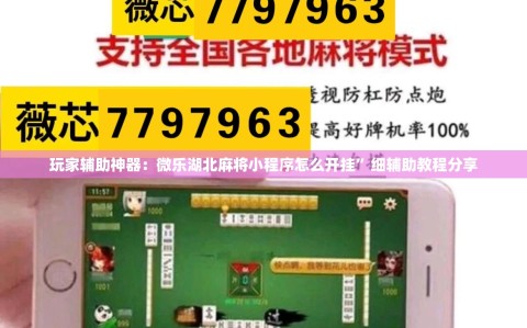 玩家辅助神器：微乐湖北麻将小程序怎么开挂”细辅助教程分享