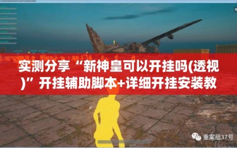 实测分享“新神皇可以开挂吗(透视)”开挂辅助脚本+详细开挂安装教程