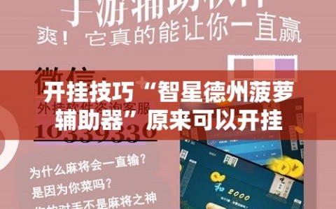 开挂技巧“智星德州菠萝辅助器”原来可以开挂