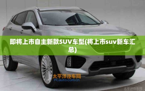 即将上市自主新款SUV车型(将上市suv新车汇总)