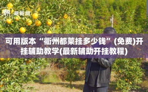 可用版本“衢州都莱挂多少钱”(免费)开挂辅助教学(最新辅助开挂教程)