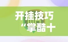 开挂技巧“掌酷十三张免费开挂神器下载安装”详细分享装挂步骤