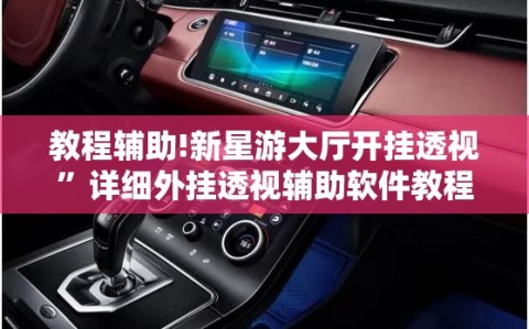教程辅助!新星游大厅开挂透视”详细外挂透视辅助软件教程