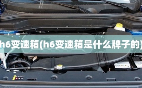 h6变速箱(h6变速箱是什么牌子的)