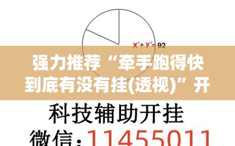 强力推荐“牵手跑得快到底有没有挂(透视)”开挂辅助脚本+详细开挂安装教程