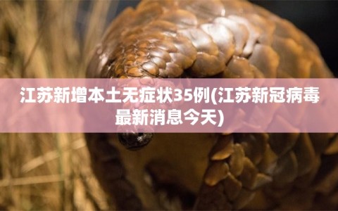 江苏新增本土无症状35例(江苏新冠病毒最新消息今天)