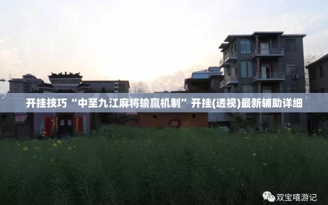 开挂技巧“中至九江麻将输赢机制”开挂(透视)最新辅助详细