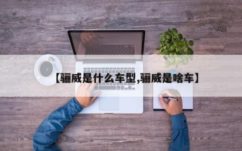 【骊威是什么车型,骊威是啥车】