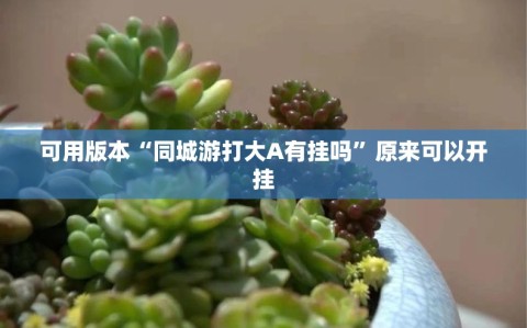 可用版本“同城游打大A有挂吗”原来可以开挂