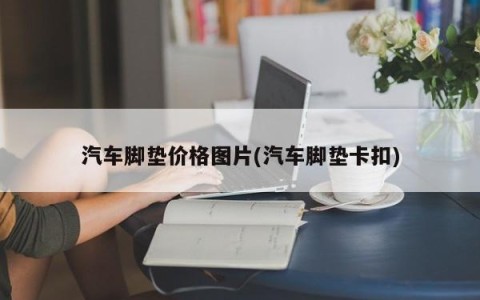 汽车脚垫价格图片(汽车脚垫卡扣)