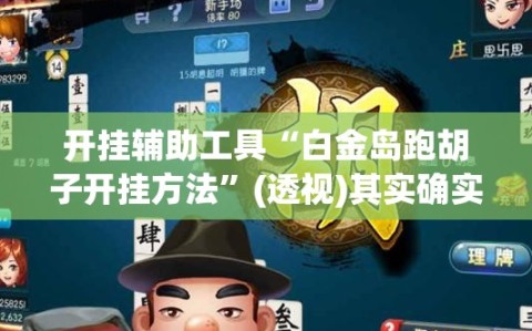 开挂辅助工具“白金岛跑胡子开挂方法”(透视)其实确实有挂
