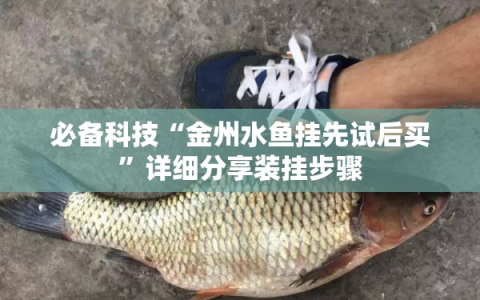 必备科技“金州水鱼挂先试后买”详细分享装挂步骤