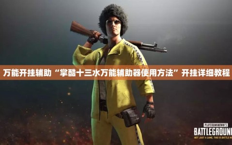 万能开挂辅助“掌酷十三水万能辅助器使用方法”开挂详细教程