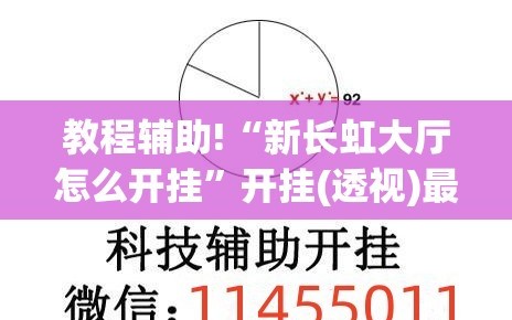 教程辅助!“新长虹大厅怎么开挂”开挂(透视)最新辅助详细