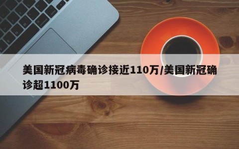 美国新冠病毒确诊接近110万/美国新冠确诊超1100万
