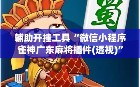 辅助开挂工具“微信小程序雀神广东麻将插件(透视)”开挂辅助脚本+详细开挂安装教程