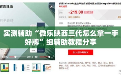 实测辅助“微乐陕西三代怎么拿一手好牌”细辅助教程分享