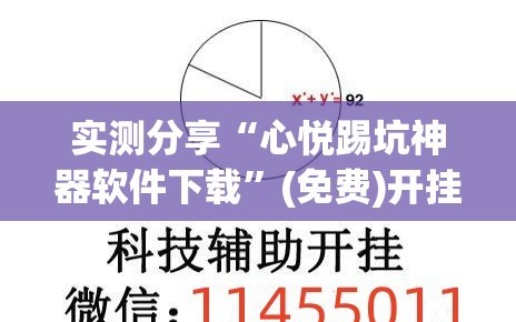 实测分享“心悦踢坑神器软件下载”(免费)开挂辅助教学(最新辅助开挂教程)