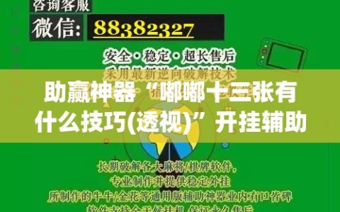 助赢神器“嘟嘟十三张有什么技巧(透视)”开挂辅助脚本+详细开挂安装教程