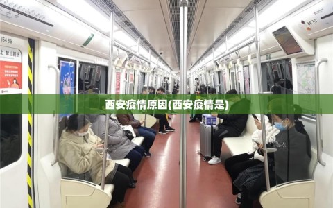 西安疫情原因(西安疫情是)