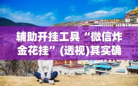 辅助开挂工具“微信炸金花挂”(透视)其实确实有挂